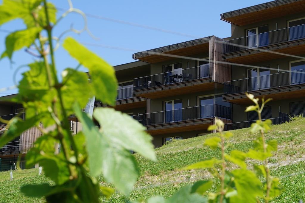 Relax Residence Suedsteiermark Ehrenhausen Quarto foto
